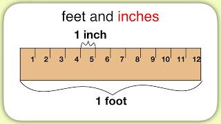 Measurement (Feet and Inches)