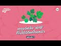 healthy digest ep4 เทรนด์คลั่ง