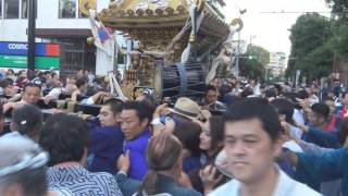 平成28年　品川＜大井・鹿嶋神社＞例大祭　宮本町会神輿＝還御・着與