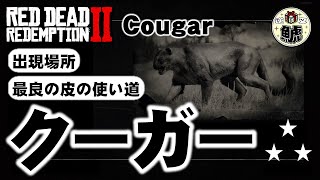 【RDR2】クーガー (Cougar) 出現場所と最良の皮の使い道 必要な枚数