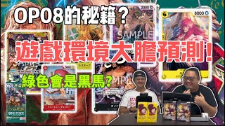 【ONE PIECE CARD GAME】 【海賊王卡牌遊戲】OP08 先暖身！- 卡之國吹水咯 - EP 17