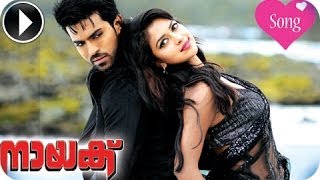 Naayak Malayalam Movie | Shubhavela Naalithallo Full Song | Ram Charan Teja,Amala Paul [HD]