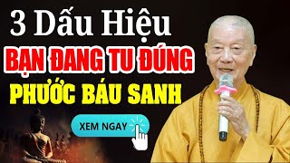 3 Dấu Hiệu Cho Thấy Bạn Đang Tu Đúng Phước Báu Tự Tìm Đến - Thầy Thích Trí Quảng