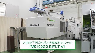 MS100G2 INFILT-V 不活性ガス溶解成形システム