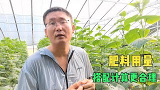 补充钙镁肥料，如何算每亩用量？搭配计算更合理