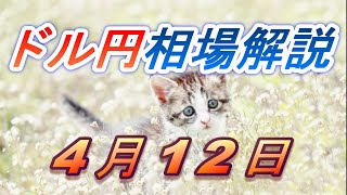 【TAKA FX】ドル円為替相場の前日の動きをチャートから解説。日経平均、NYダウ、金チャートも。4月12日