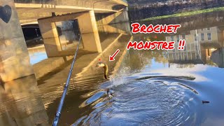 Brochet MONSTRE en pêchant le silure !! Pêche au vif #42