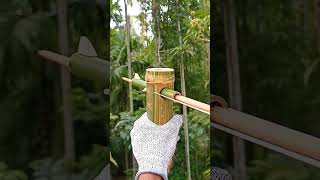 The Most Interesting Bamboo slingshots #bamboo #diy