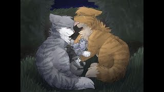 Warrior Cats 6 Katzen Mit Superkräften