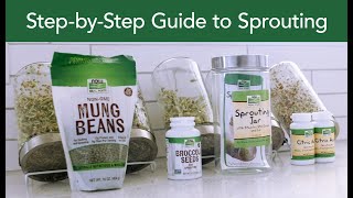 Get Started Growing Nutritious Sprouts at Home | Safe Sprouting Techniques