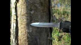 EAB The Green Menace - The Emerald Ash Beetle - Do Not Move Firewood