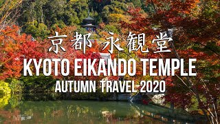 【京都】  永観堂 禅林寺 ~紅葉が見頃の永観堂へぶらり旅~ | JAPAN KYOTO AUTUMN TRAVEL 2020