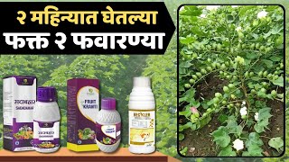 2 महिन्यात घेतल्या, फक्त 2 फवारण्या | Cotton First Two Spray Schedule  #tejagro #cotton #sadabahar