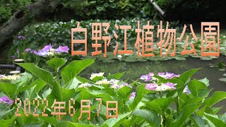 白野江植物公園 福岡県北九州市門司区 2022年6月7日