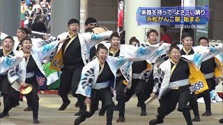 浜松がんこ祭　始まる　楽器を持って　よさこい踊り