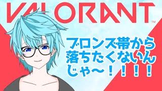 【VALORANT/参加型】初心者コンペ　（アイアン～シルバーまで）