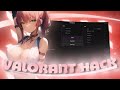 🏆 NEW Valorant Cheat / Hack 2024 | Aimbot + ESP | FREE UNDETECTED FT.spacecheats