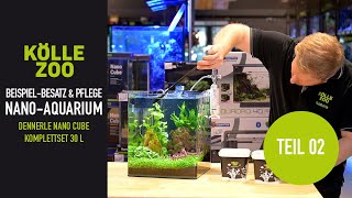 UPDATE: Beispielbesatz und Pflege Dennerle Nano Cube Komplettset 30 L | KÖLLE ZOO