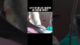 연하 꼬시기 디지게 힘드네요 .. 대답을 아예 못해요; #english #vlog #funny #fun #eng #일상브이로그 #커플브이로그  #커플 #couple