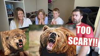New Zealand Family React to The Top 10 Most Dangerous Animals in the USA (#1 CAN'T BE TRUE!!)