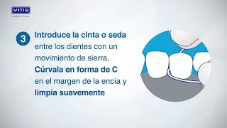 ¿Cómo usar la seda o cinta dental Vitis?