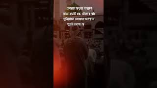 তোমার মৃত্যুর কারণে বাজারঘাট বন্ধ থাকবে না। দুনিয়াতে