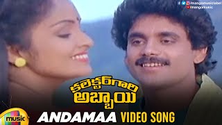 Nagarjuna Hit Songs | Andamaa Video Song | Collector Gari Abbai Movie | Nagarjuna | ANR | SPB