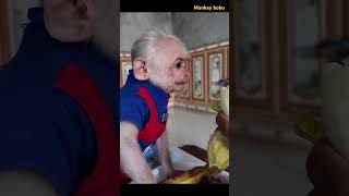 bobo eats banana with dad #monkey #monkeybobo #cute