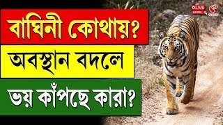 Tigress Zeenat Update | বাঘিনী কোথায় ? অবস্থান বদলে ভয় কাঁপছে কারা?