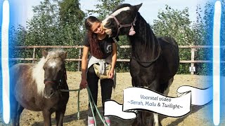 Voorstelvideo Serah, Malu en Twilight |Voorstelvideo #6