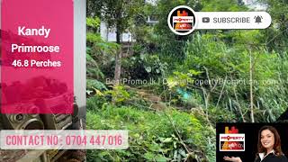 BKK31445: Land/House in Kandy | Primroose | 46.8P | 350,000 PP | 0704 447 016