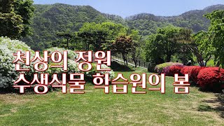 옥천 천상의 정원 수생 식물 학습원의 봄