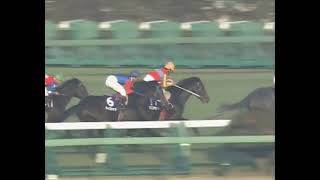 トウカイテイオー 1993年 第38回有馬記念(GI) (優勝馬：トウカイテイオー)