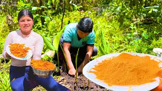 De esta manera hacemos la CURCUMA en POLVO en en Campo - NATHALIA