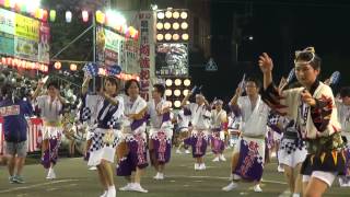 駄磨都連　鳴門市阿波おどり2013