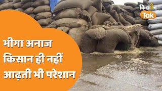 Wheat Damage In Rain: गेहूं बारिश में भीगा, सिर्फ किसान ही नहीं आढ़तियों को भी नुकसान | Kisan Tak