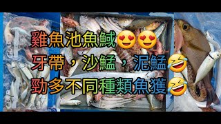 【香港艇釣精華】第28集- 蒲台島鶴咀石澳釣魚魚獲Vlog｜雞魚｜池魚｜䱛｜油錐｜石狗公｜斑類｜30-07-2022 #釣魚 #香港釣魚 #蒲台島釣魚