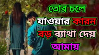 তোর চলে যাওয়ার কারন বড় ব্যাথা দেয় আমায় | Tor cole jawar karon boro betha dey amay | mon kandere