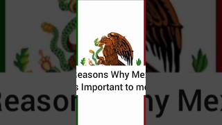 Top 5 Reasons Why Mexican Culture is Important to me 🇲🇽☀️ #mexico #shorts