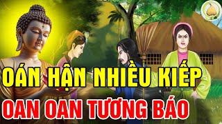 Nhân Duyên Cha Mẹ Con Cái oán Hận Nhiều Kiếp OAN OAN TƯƠNG BÁO Giữa mẹ Chồng Nàng Dâu