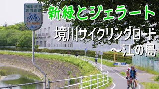 【境川サイクリングロード～江の島】新緑と牧場のアイスを楽しむサイクリング