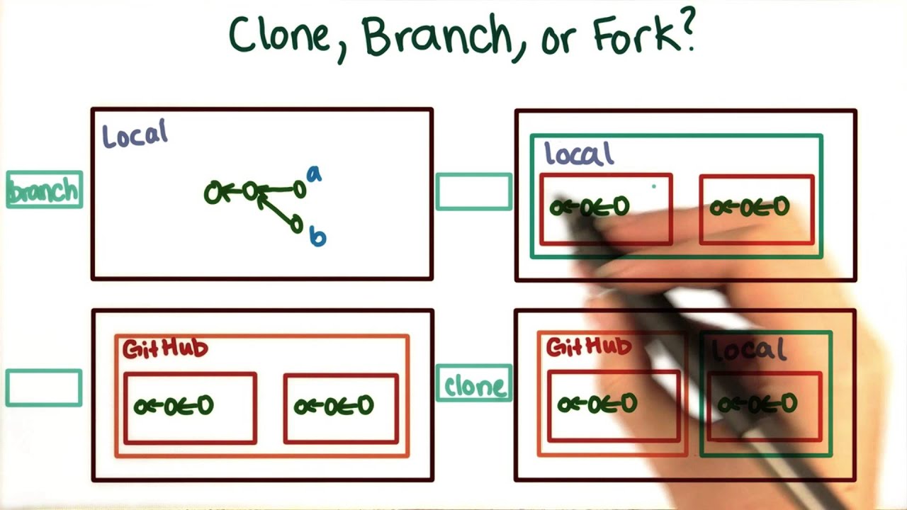 Forking A Repository Solution - How To Use Git And GitHub - YouTube