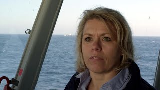How Ocean Currents Drive Climate and Life on Earth
