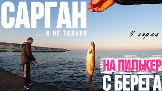 Рыбалка на саргана. Как ловить саргана. Проводка на саргана. Пилькер на саргана. Сарган на пилькер.