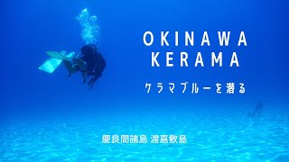 幻想的な海中世界！ケラマブルーの海がもたらす至福のダイビング体験！慶良間諸島・渡嘉敷島