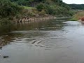 実家の裏の川にて水切り