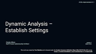AVCDL dynamic analysis - establish settings