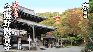 【京都おすすめ】感動　ぶらり今熊野観音寺【京のココ見といやす】【京都観光旅行】