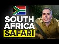 South Africa Safari 2026: The Local Insiders Guide
