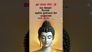 සැප ට නිදාගන්න 🙏🌺❤️